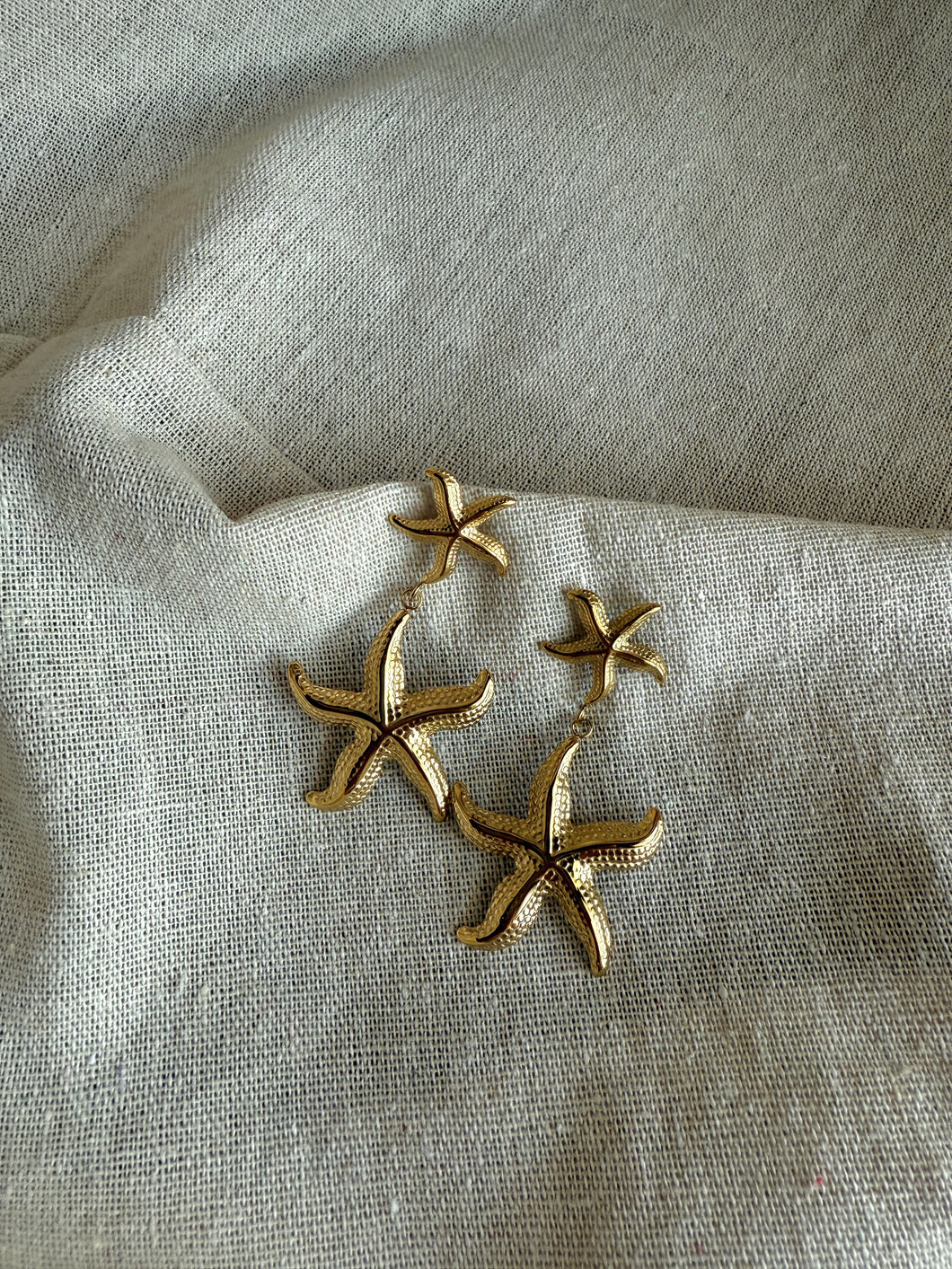 Starry Fish Earrings